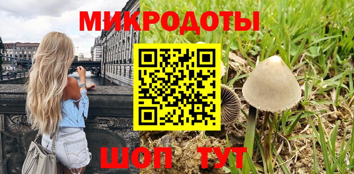 Галлюциногенные грибы Psilocybe Мичуринск