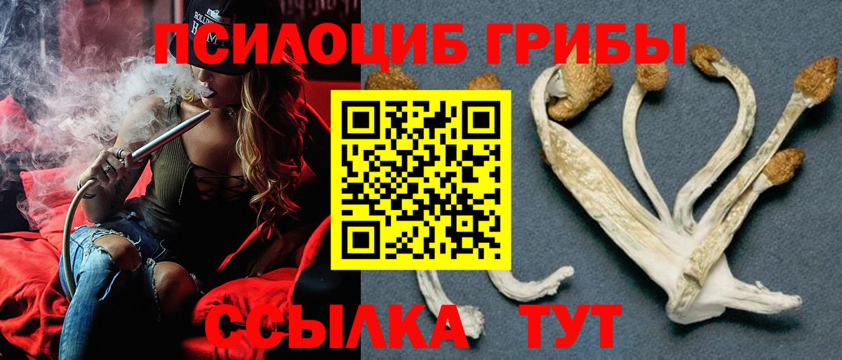Галлюциногенные грибы Cubensis  Галлюциногенные грибы Psilocybine cubensis  Вход с VPN  Мичуринск 